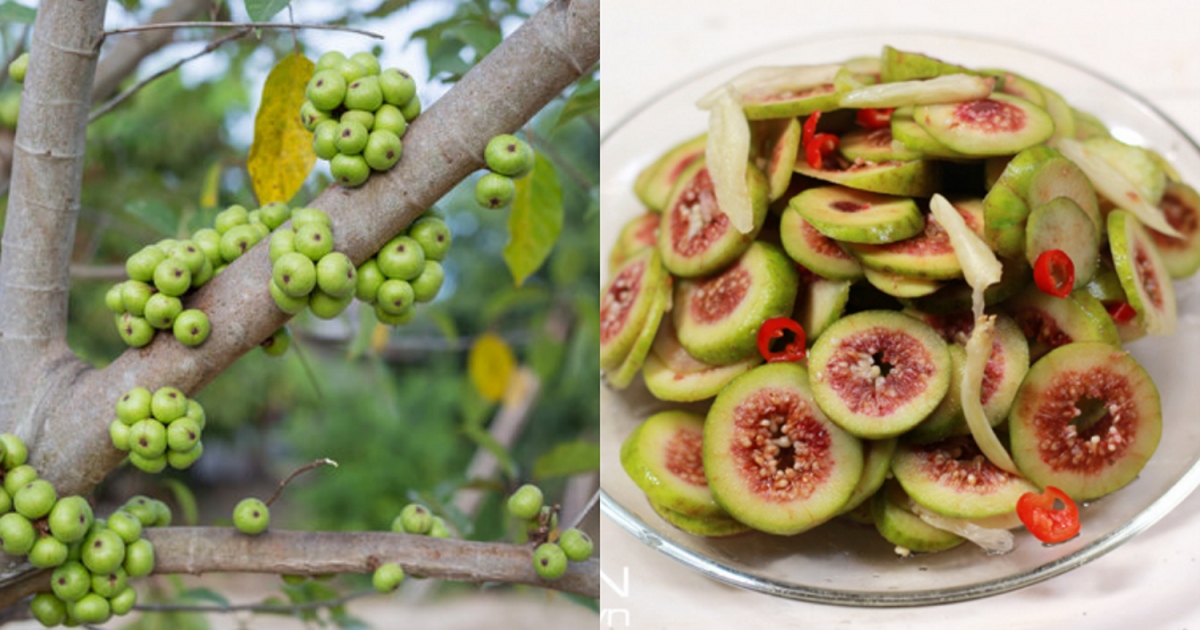 loai qua la khac tinh cua ung thu lai bo xuong, cho nao cung thay hinh anh 2